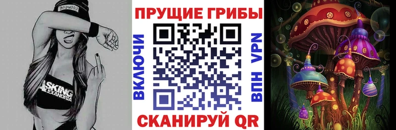 Псилоцибиновые грибы мухоморы Купить Саров